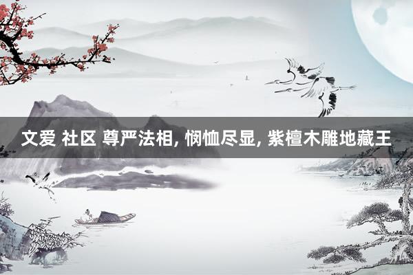 文爱 社区 尊严法相, 悯恤尽显, 紫檀木雕地藏王